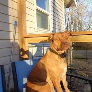 Meet your Posher, Rosemary